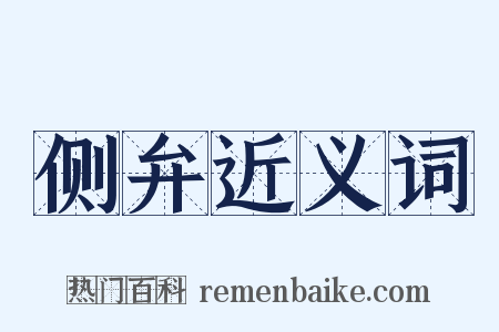 侧弁近义词是什么意思的图片
